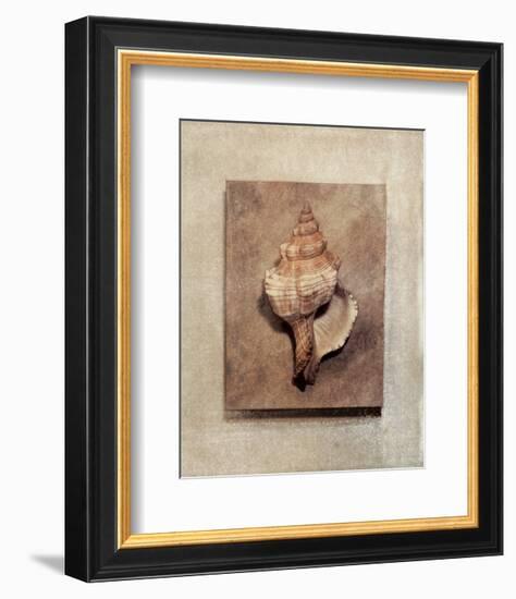 Seashell Study III-Julie Nightingale-Framed Art Print