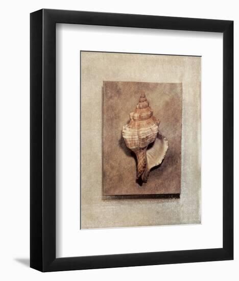 Seashell Study III-Julie Nightingale-Framed Art Print