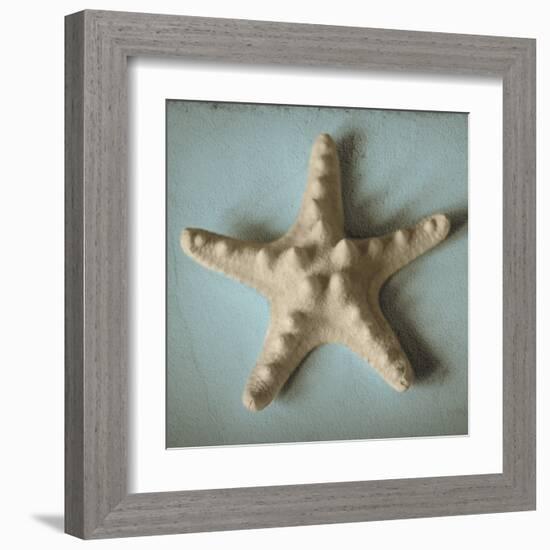 Seashell Study III-Heather Jacks-Framed Art Print