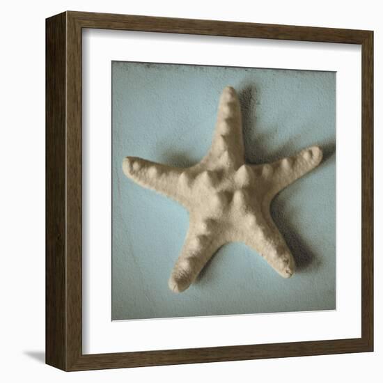 Seashell Study III-Heather Jacks-Framed Art Print