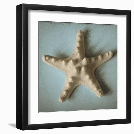 Seashell Study III-Heather Jacks-Framed Art Print