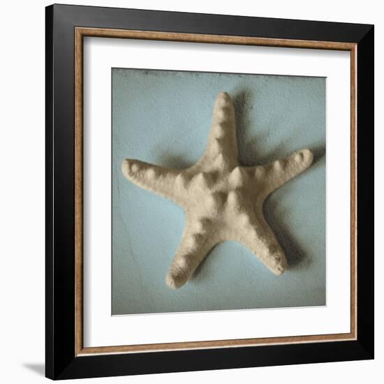 Seashell Study III-Heather Jacks-Framed Art Print