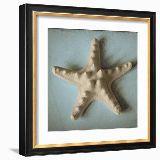 Seashell Study III-Heather Jacks-Framed Art Print