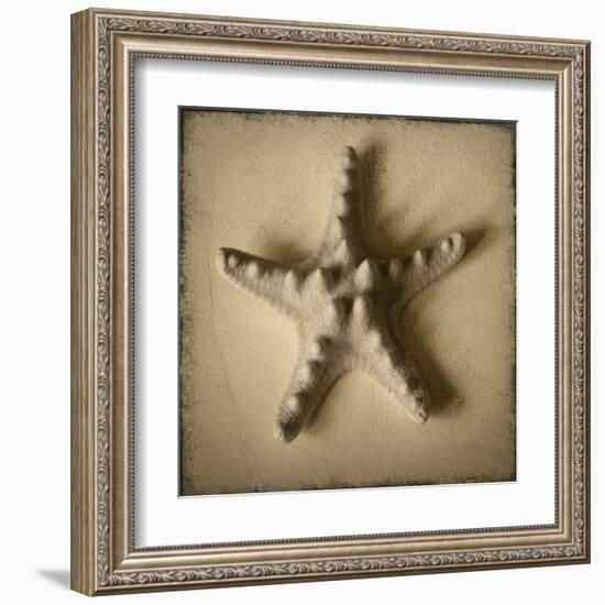 Seashell Study III-Heather Jacks-Framed Art Print