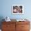 Seashells Along the Gulf of California, Loresto, Mexico-Chuck Haney-Framed Photographic Print displayed on a wall