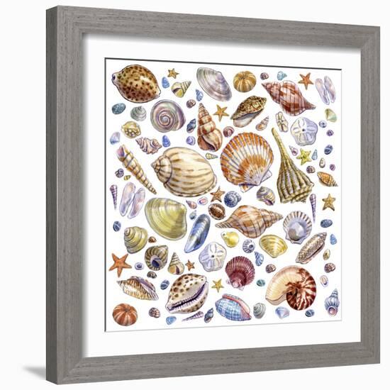 Seashells Array-Geraldine Aikman-Framed Giclee Print