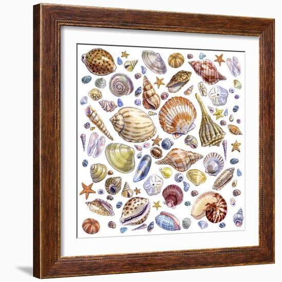 Seashells Array-Geraldine Aikman-Framed Giclee Print