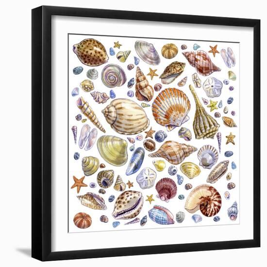 Seashells Array-Geraldine Aikman-Framed Giclee Print