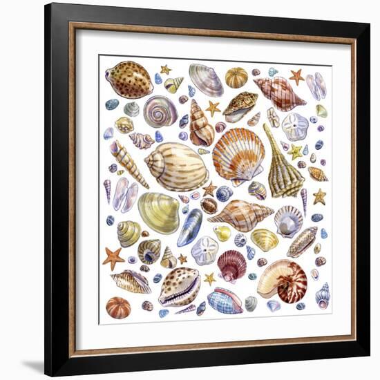 Seashells Array-Geraldine Aikman-Framed Giclee Print