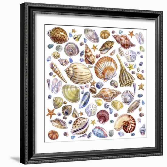 Seashells Array-Geraldine Aikman-Framed Giclee Print