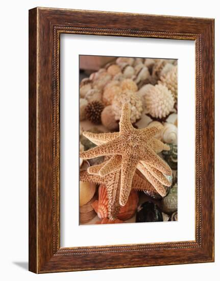 Seashells for Sale Zihuatanejo, Mexico-Julien McRoberts-Framed Photographic Print