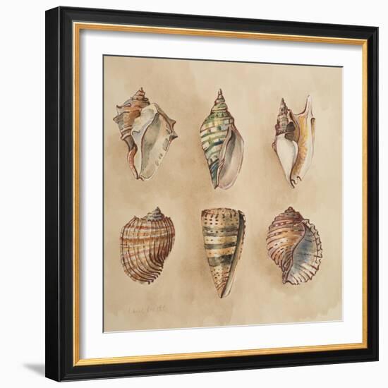 Seashells II-Lanie Loreth-Framed Art Print