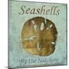 Seashells II-Karen Williams-Mounted Giclee Print