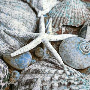 Seashells in Blue I