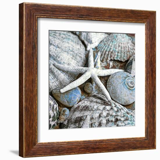 Seashells in Blue I-null-Framed Art Print