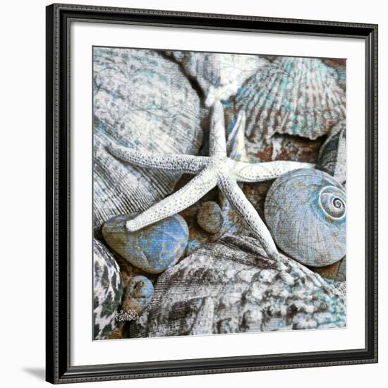 Seashells in Blue I-null-Framed Art Print