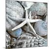 Seashells in Blue I-null-Mounted Art Print