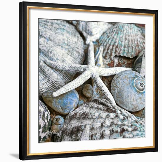 Seashells in Blue I-null-Framed Art Print