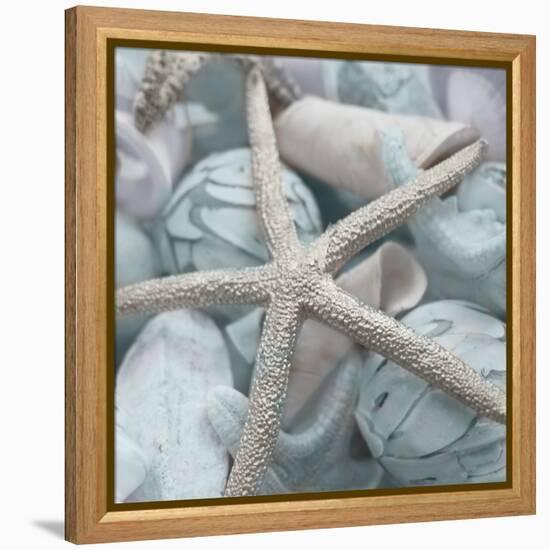 Seashells in Blue I-Susan Bryant-Framed Stretched Canvas