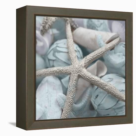 Seashells in Blue I-Susan Bryant-Framed Stretched Canvas