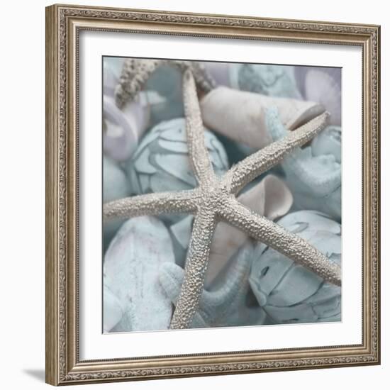 Seashells in Blue I-Susan Bryant-Framed Photo