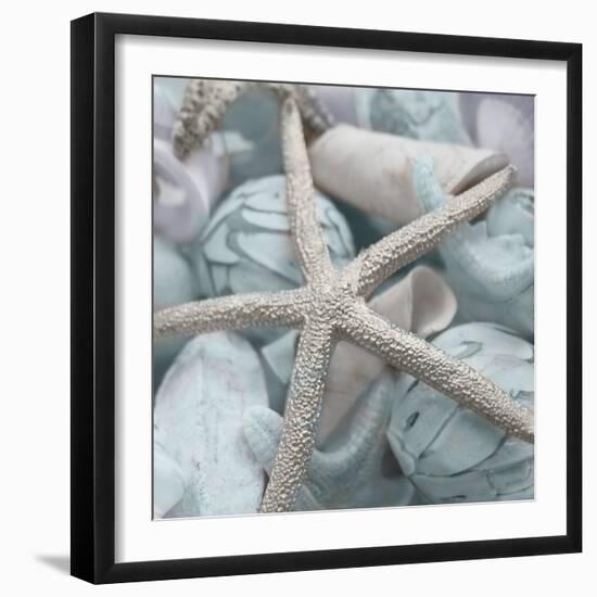 Seashells in Blue I-Susan Bryant-Framed Photo