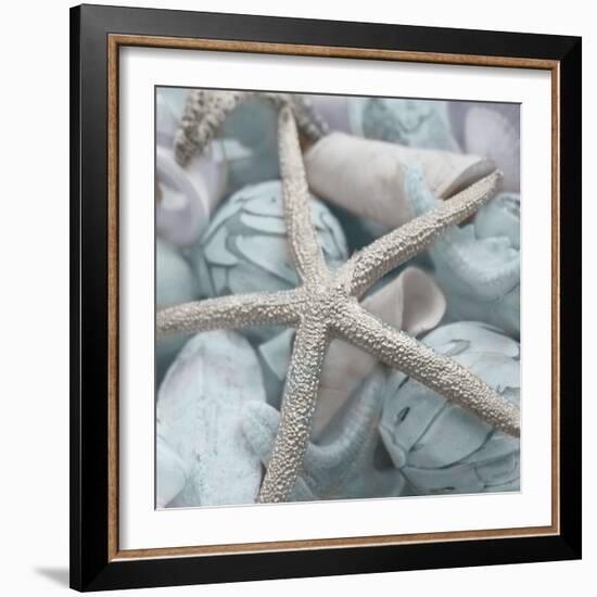 Seashells in Blue I-Susan Bryant-Framed Photo