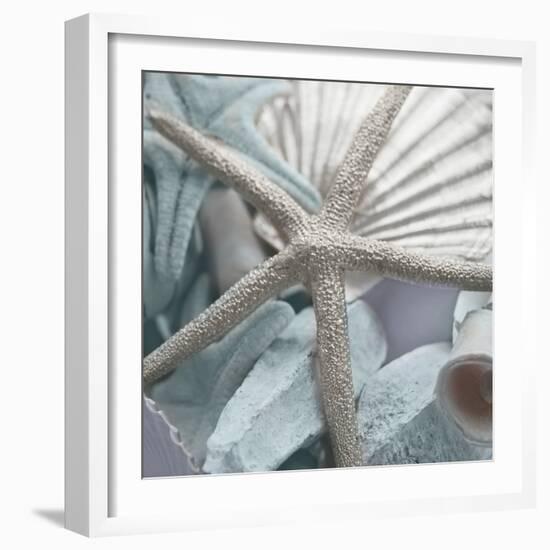 Seashells in Blue II-Susan Bryant-Framed Photo