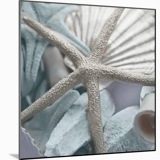 Seashells in Blue II-Susan Bryant-Mounted Photo