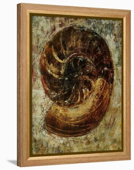 Seashells IX-Jodi Maas-Framed Premier Image Canvas