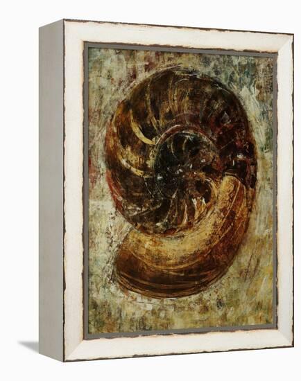 Seashells IX-Jodi Maas-Framed Premier Image Canvas