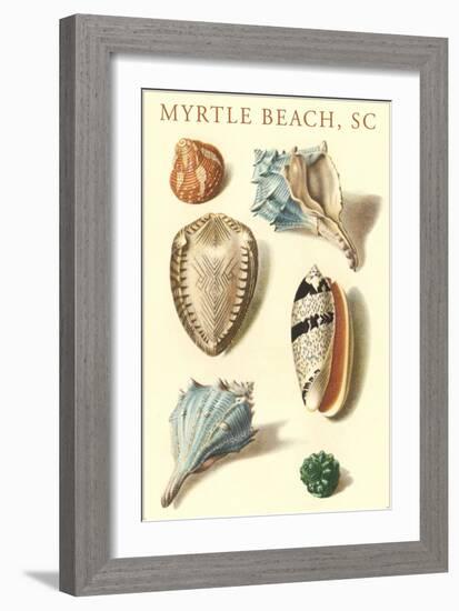 Seashells, Myrtle Beach-null-Framed Art Print