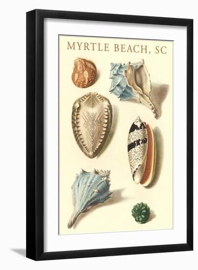 Seashells, Myrtle Beach-null-Framed Art Print