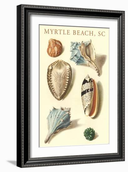 Seashells, Myrtle Beach-null-Framed Art Print