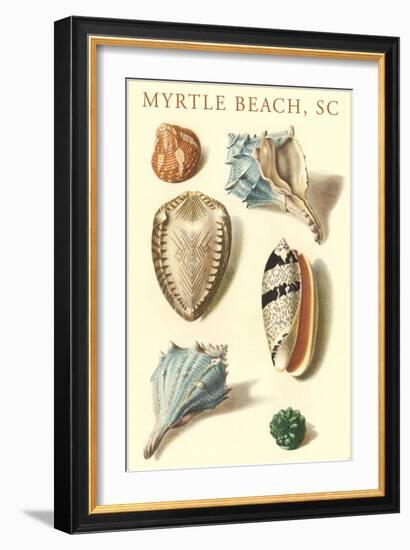 Seashells, Myrtle Beach-null-Framed Art Print