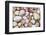 Seashells on Contadora-Darrell Gulin-Framed Photographic Print
