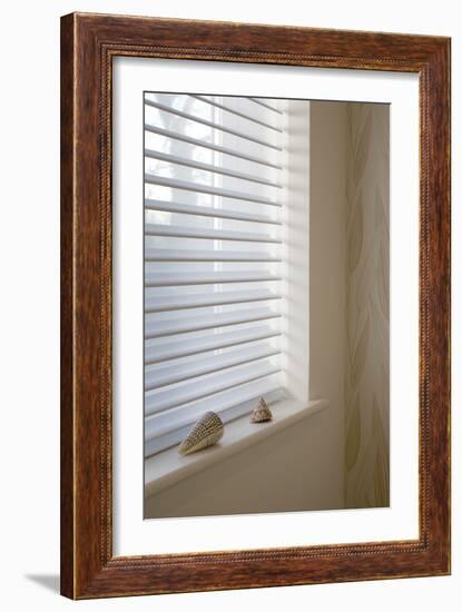 Seashells on Windowsill of Contemporary Home-G. Jackson-Framed Photo