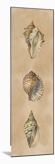 Seashells Panel II-Lanie Loreth-Mounted Art Print