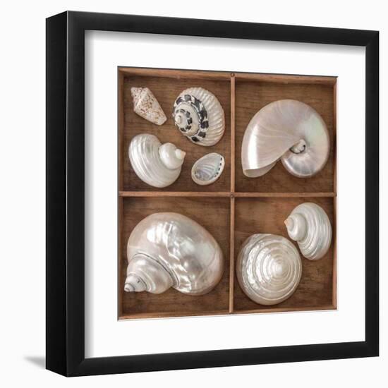 Seashells Treasures I-Assaf Frank-Framed Art Print