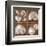 Seashells Treasures I-Assaf Frank-Framed Art Print