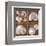 Seashells Treasures I-Assaf Frank-Framed Art Print