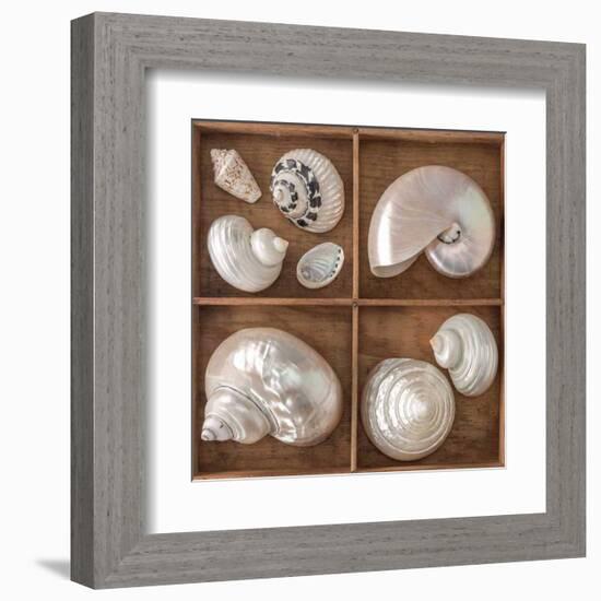 Seashells Treasures I-Assaf Frank-Framed Art Print