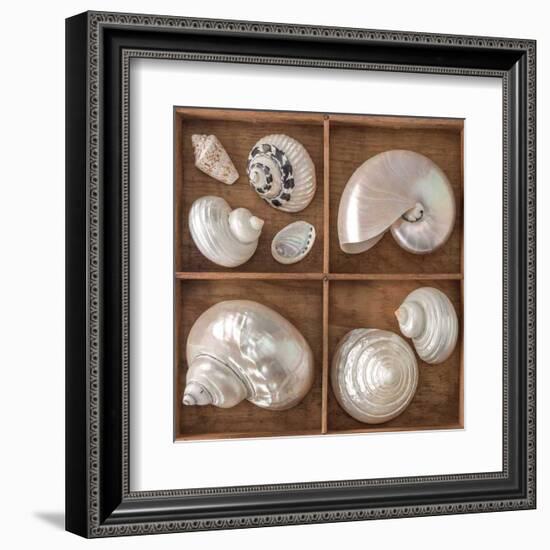 Seashells Treasures I-Assaf Frank-Framed Art Print