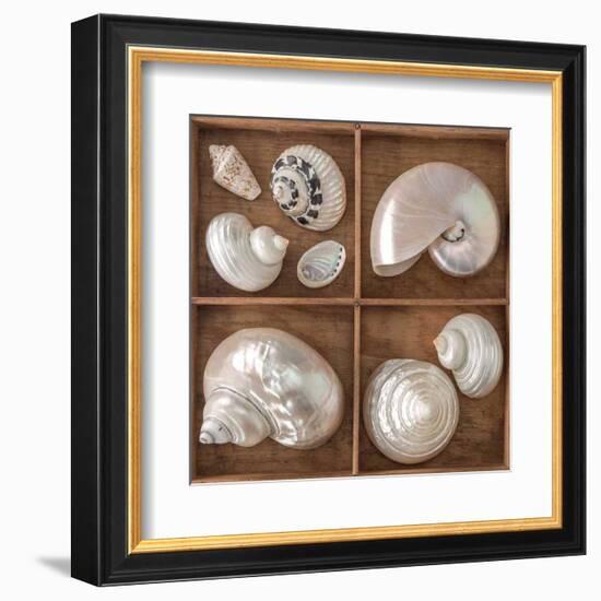 Seashells Treasures I-Assaf Frank-Framed Art Print