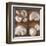 Seashells Treasures I-Assaf Frank-Framed Art Print