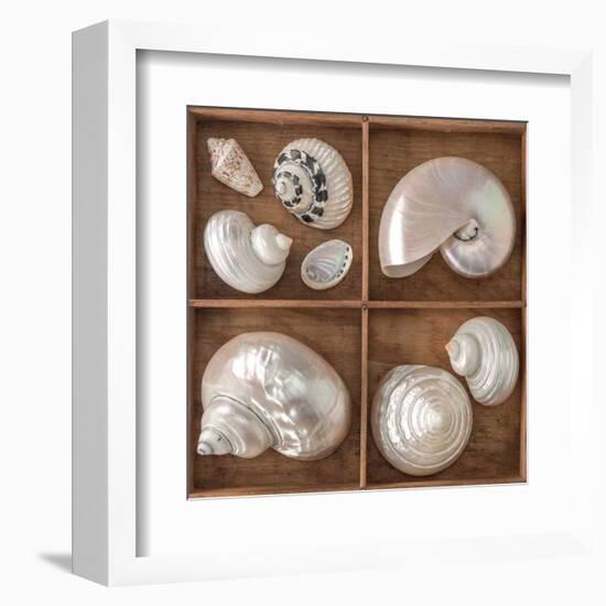 Seashells Treasures I-Assaf Frank-Framed Art Print