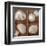 Seashells Treasures II-Assaf Frank-Framed Art Print