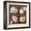 Seashells Treasures II-Assaf Frank-Framed Art Print