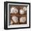 Seashells Treasures II-Assaf Frank-Framed Art Print