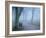 Seashoal-Craig Roberts-Framed Photographic Print